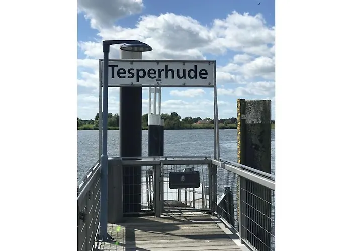 At The Gates Of Hamburg